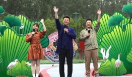 最新深圳王先生爆料视频,揭秘事件背后惊人真相